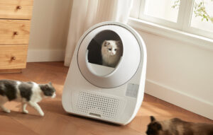 Intelligentne isepuhastuv kassiliivakast Catlink Pro-X standard