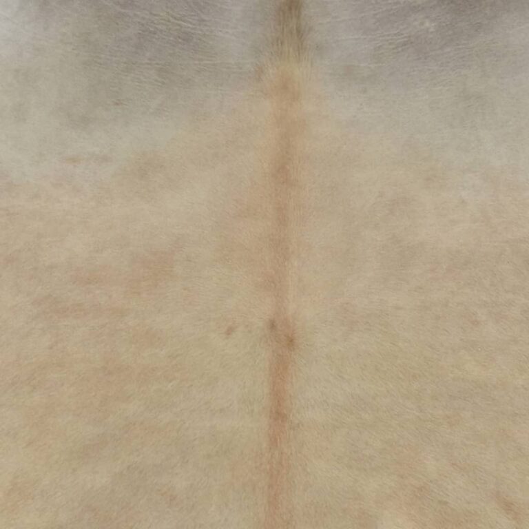 180 x 220 cm