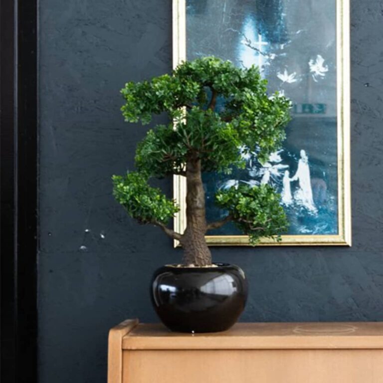 Emerald kunstlik viigimarja minibonsai
