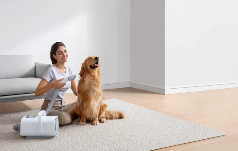 Föön HomeRunPet PD10 lemmikloomadele