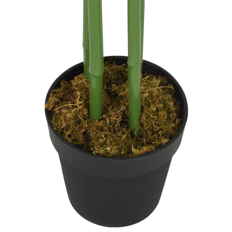 80 cm