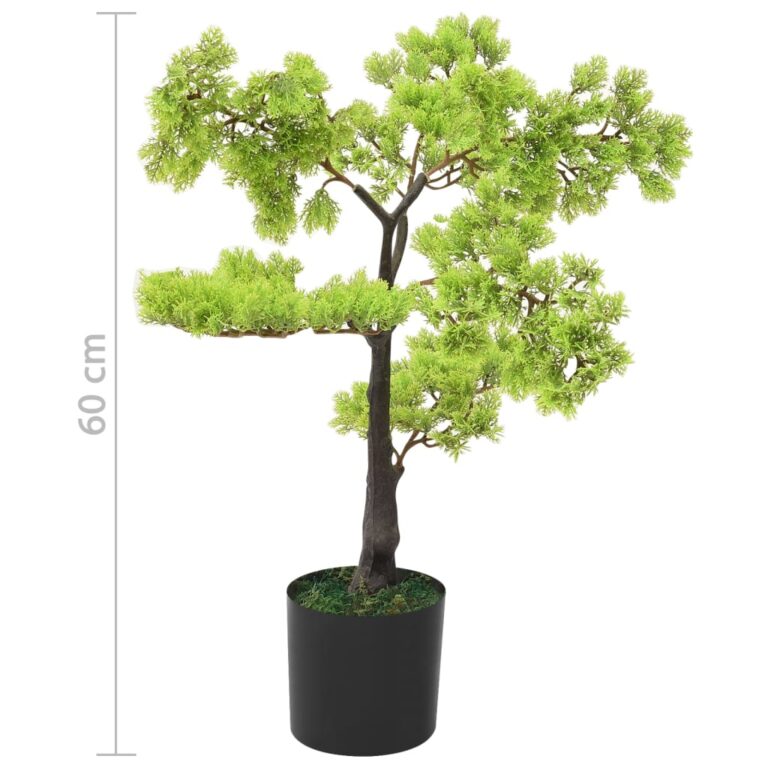 60 cm