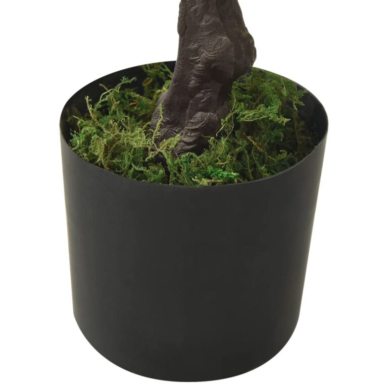 männi bonsai potiga