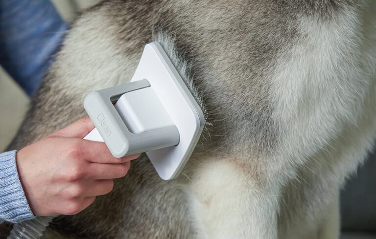 Lemmiklooma grooming komplekt AIRROBO PG100