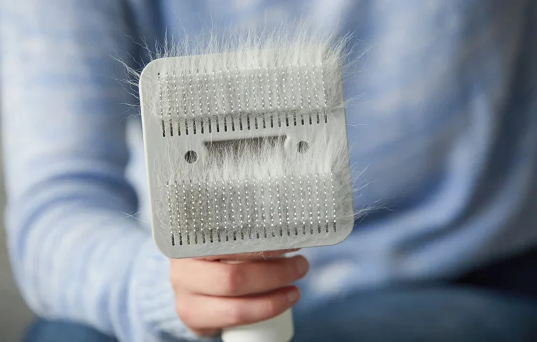 Lemmiklooma grooming komplekt AIRROBO PG100