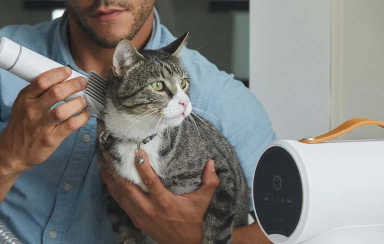 Lemmiklooma grooming komplekt AIRROBO PG100