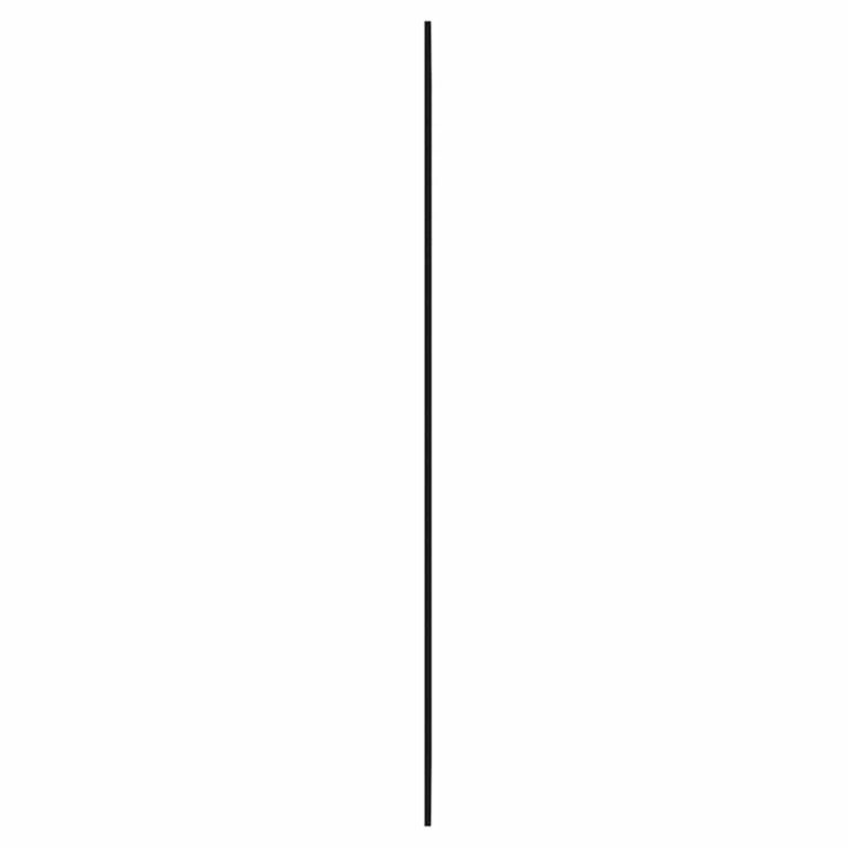 Seinapeegel