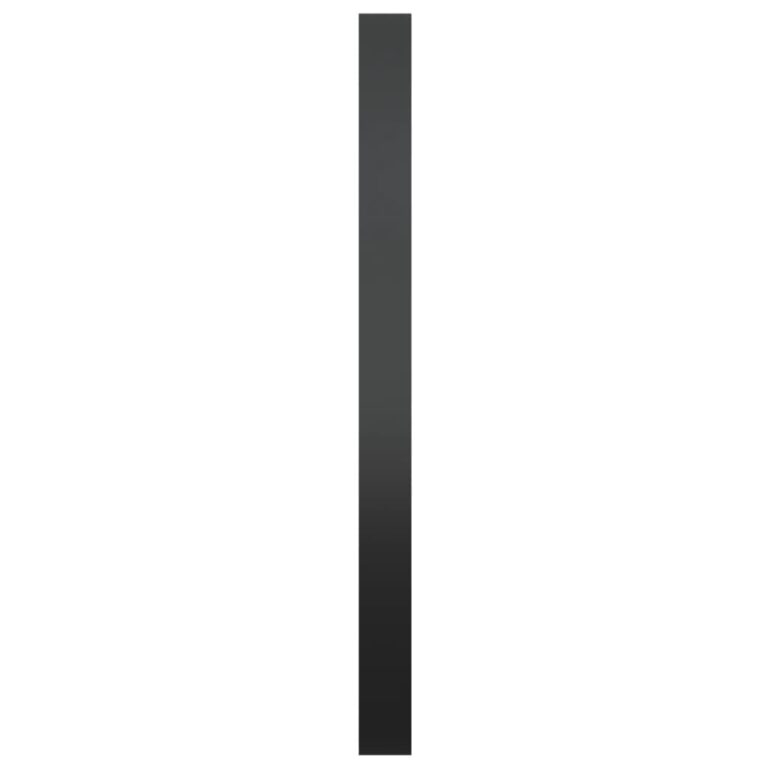 Seinapeegel