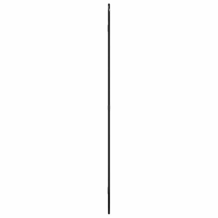 Seinapeegel