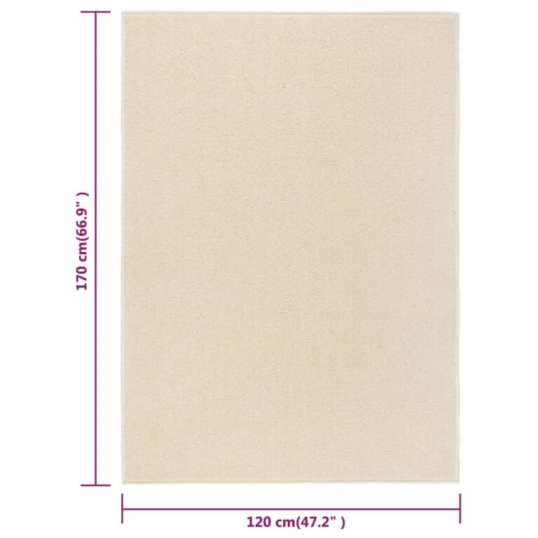 120 x 170 cm