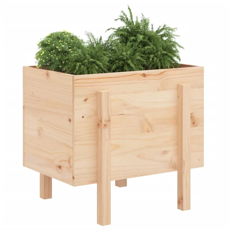männipuit
