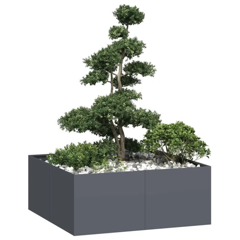 Taimekast antratsiithall 100x100x40 cm
