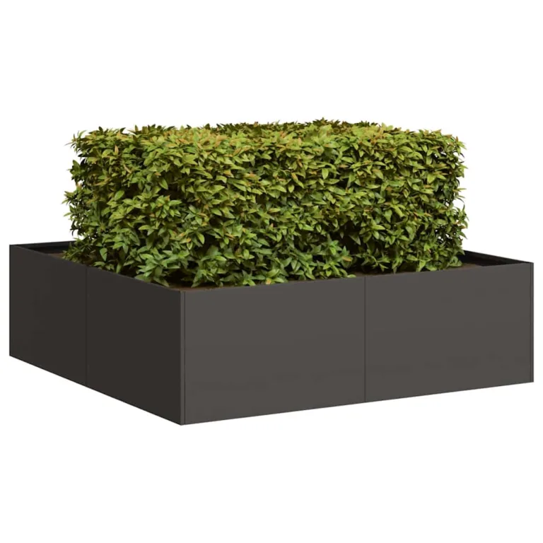 Taimekast must 100x100x30 cm