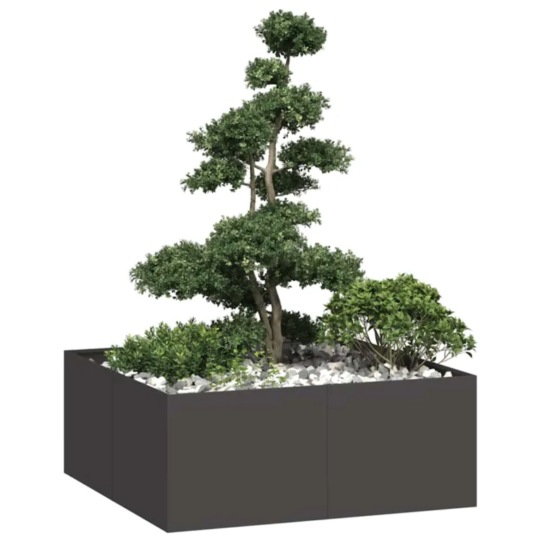 Taimekast must 100x100x40 cm