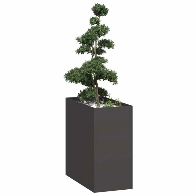 Taimekast must 40x80x80 cm