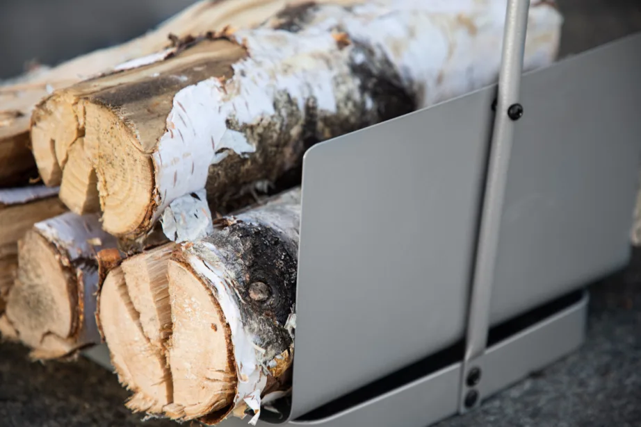 Metallist lõkke- ja tulease Godoma, hõbedane, 42x30x49, 6049-002 – 2