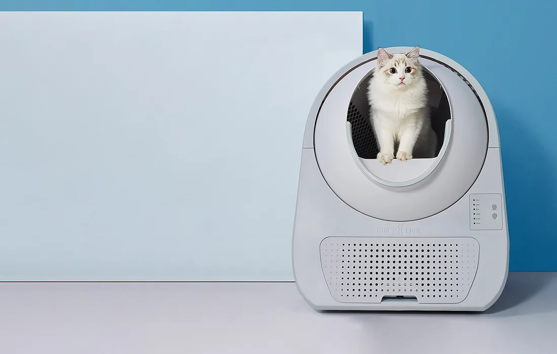 CatLink Scooper Young nutikas kassiliivakast eestvaates