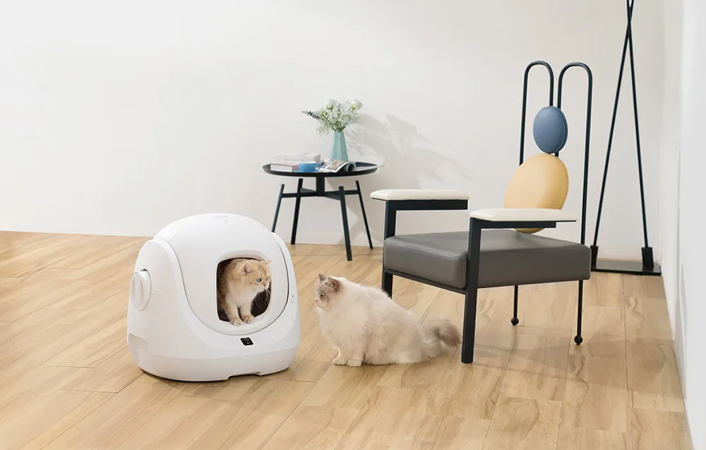Nutikas kassiliivakast Catlink BayMax eestvaates koos nutika äpi juhtimise võimalusega