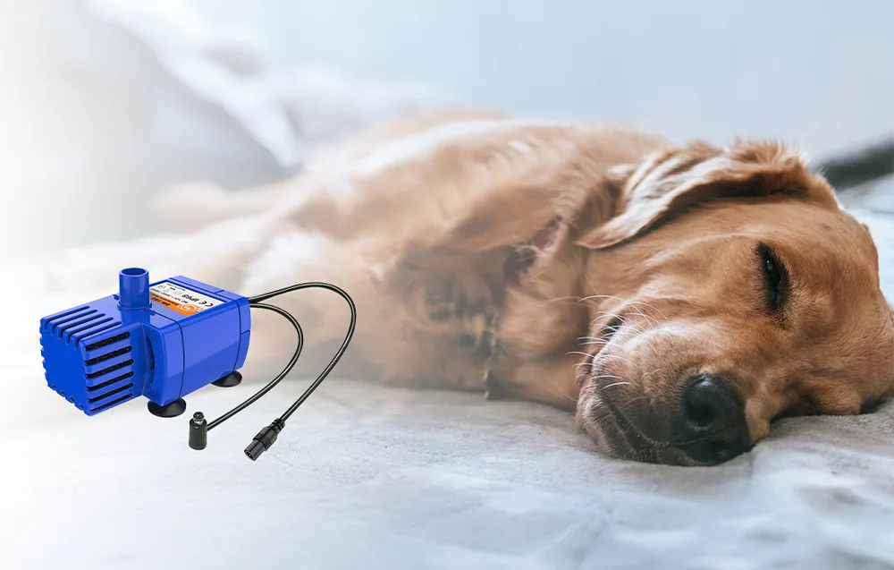 Dogness D01 Pink vaikne lemmiklooma veedosaator töötamas laual