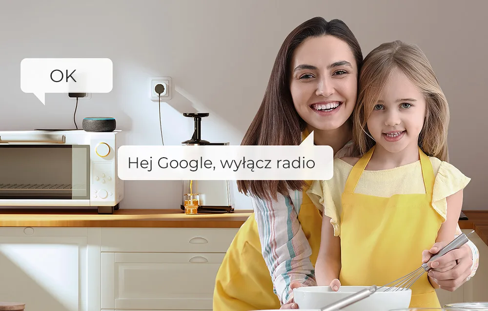 Nutikas WiFi pistik koos Google Assistant ja Alexa logodega