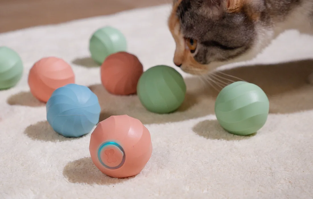 Kiisu mängimas sinise interaktiivse lemmikloomapalliga toas