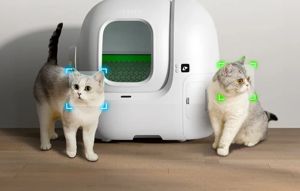 nutika kassiliivakasti juhtimine PETKIT rakendusega