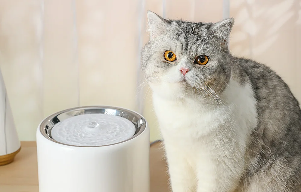 Joogifontään PETKIT rakendusega ja nutitelefoniga kaugjuhitav