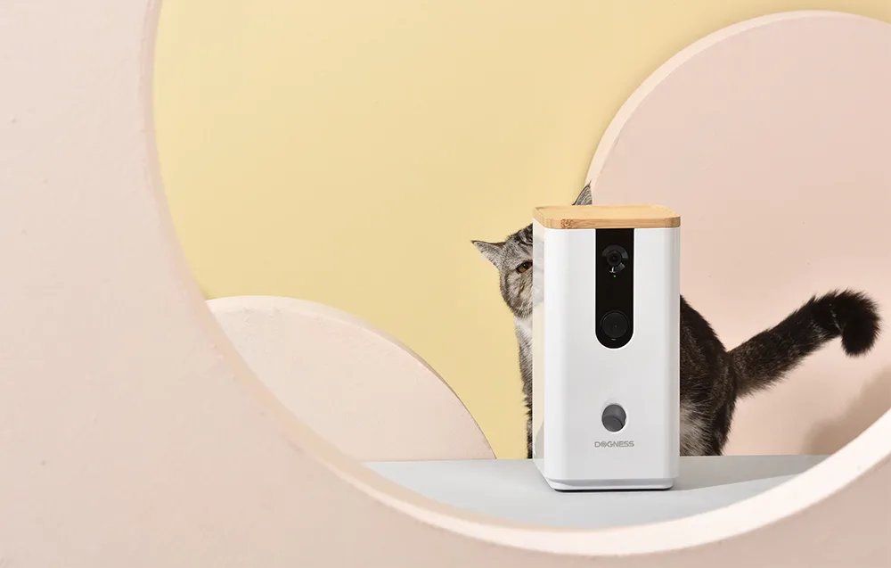 nutikas maiustedosaator Dogness T03 seinal koduses interjööris
