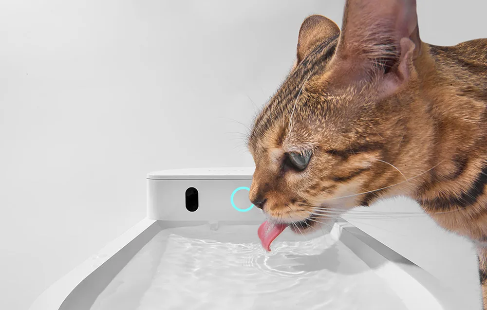 Catlink Pure 3 joogiveedosaatori töörežiimid