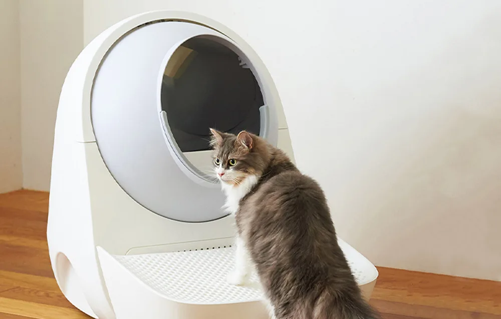 Catlink Pro-X Luxury seestpoolt, avatud liivakasti ava ja sisukujundus