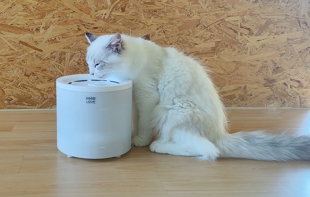 Valge HHOLove CT-FTKSD lemmiklooma veepurskkaev kassidele ja koertele