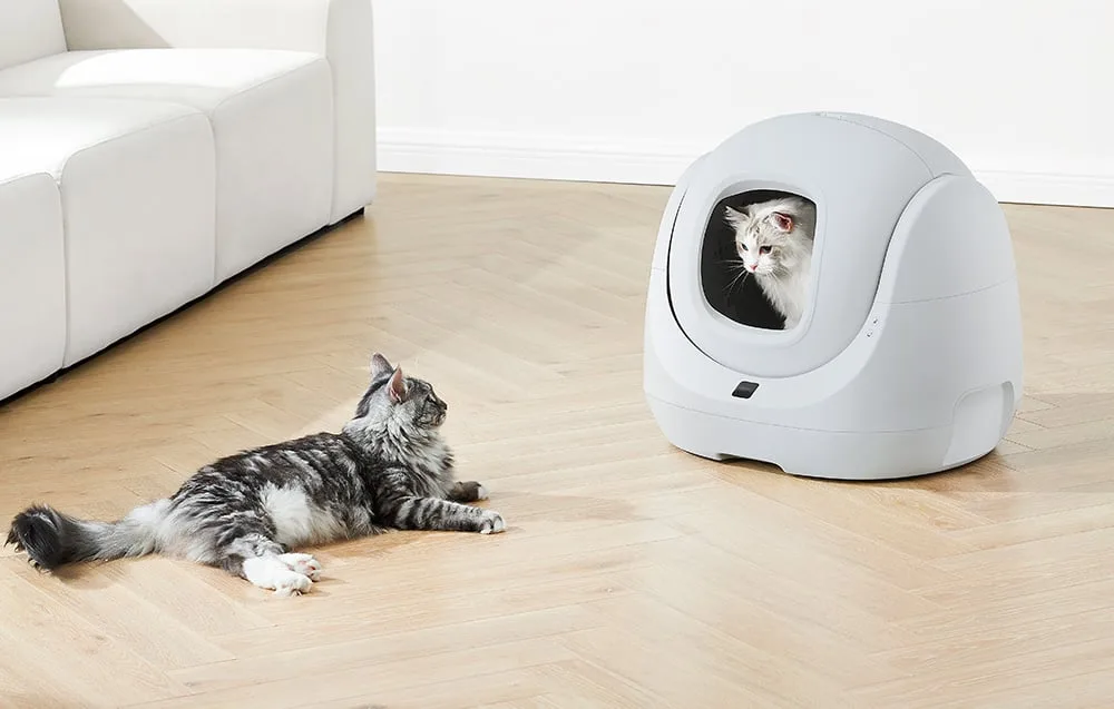 Nutikas kassiliivakast Catlink BayMax Lite, eesvaade