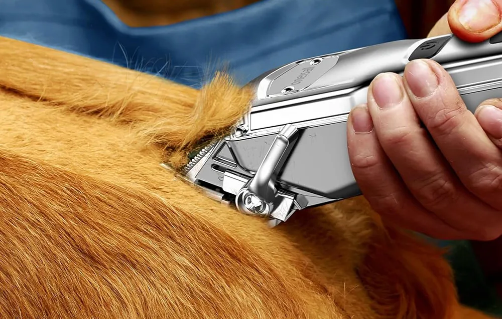 Oneisall P20 must lemmiklooma trimmer väikeste piirkondade jaoks
