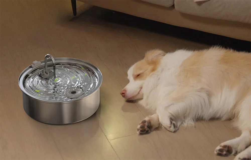 joogiallikas veetaseme märgutulega lemmikloomale