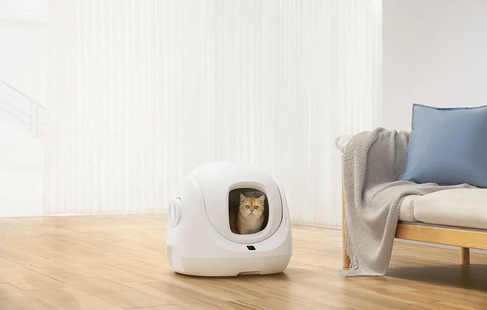 Catlink rakendus nutitelefonis kassiliivakasti funktsioonide ja terviseandmete jälgimiseks