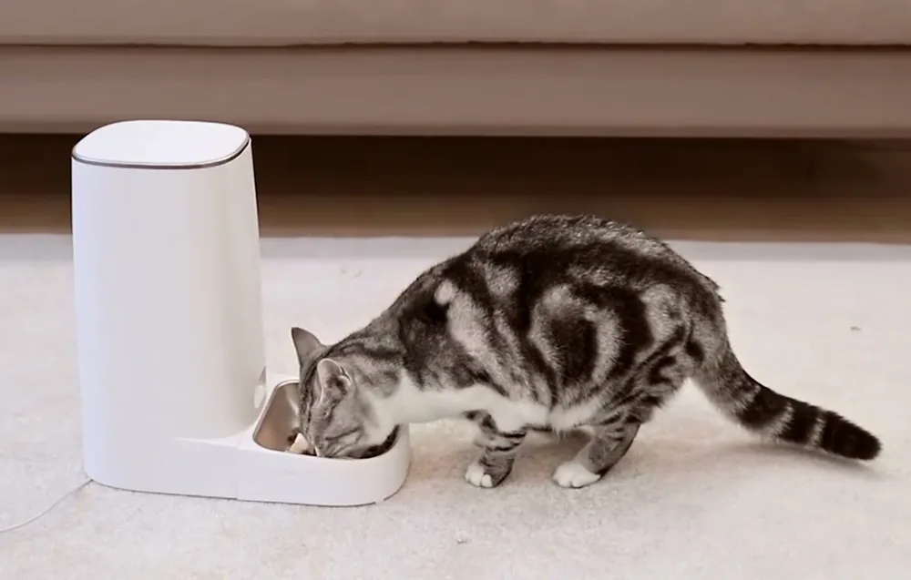 lemmikloomade toidumasina paindlik portsjonite seadistus Rojeco