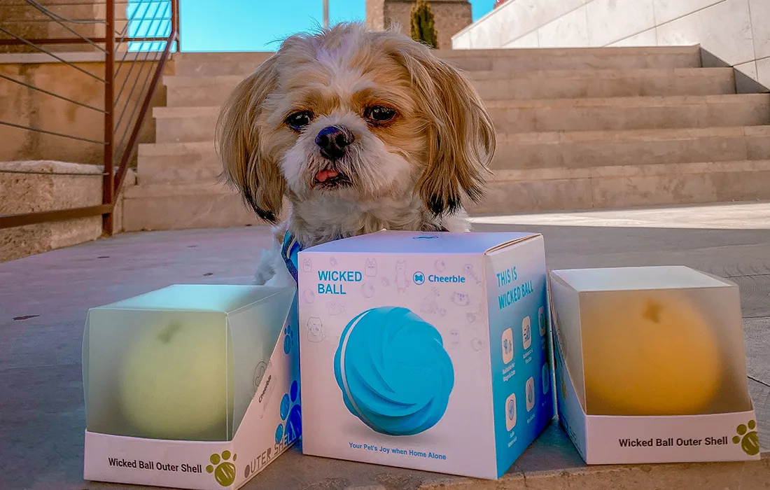 Lemmiklooma mängupalli erinevad kasutusrežiimid