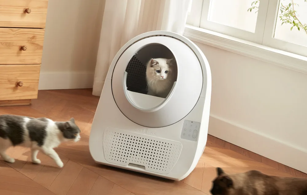 Catlink Pro-X Luxury kassiliivakast ohutusanduritega