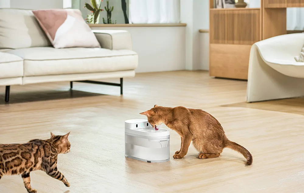 Catlink Pure 3 kaheastmeline filter kasside joogivee puhastamiseks