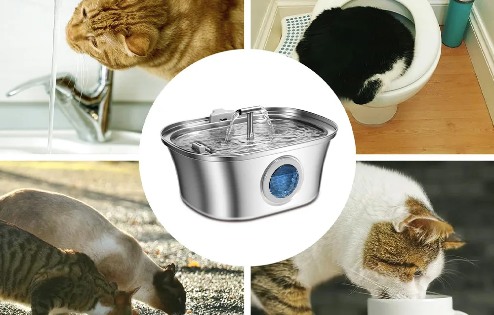 Pidevalt liikuv vesi Petwant joogipurskkaevis