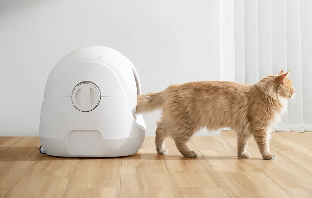 Antibakteriaalne matt ja deodoriseeriv kontsentraat Catlink nutikas kassiliivakastis