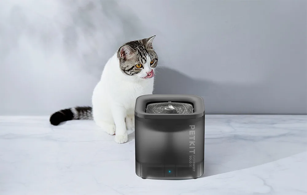 lemmiklooma veepurskkaev PetKit Eversweet SOLO SE tumehallile kassile ja koerale