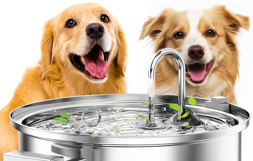 roostevabast terasest lemmiklooma joogiallikas ümmarguse mahutiga