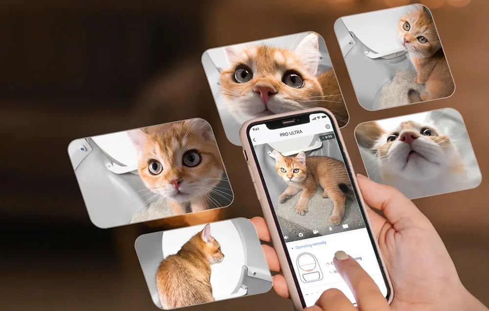 CATLINK rakendus kassiliivakasti juhtimiseks