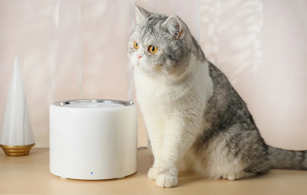 Joogifontääni töörežiimid ja valgusindikaatorid lemmikloomadele