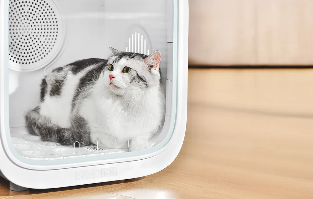 Kass tunnevad end turvaliselt Catlink lemmiklooma kuivatuskastis