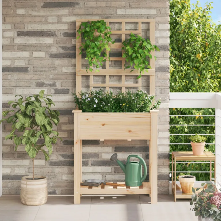 Aedade kast trellise ja riiuliga 71x37x152 cm Tugev puit kuusk