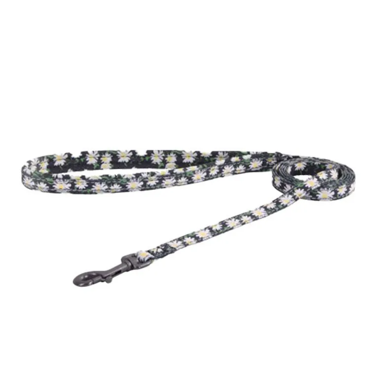 Kassi jalutusrihma ja rakmete komplekt Dogness Daisy Black 1,5 m