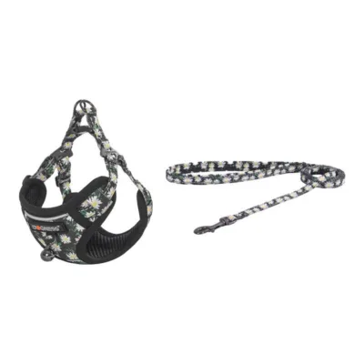 Kassi jalutusrihma ja rakmete komplekt Dogness Daisy Black 1,5 m