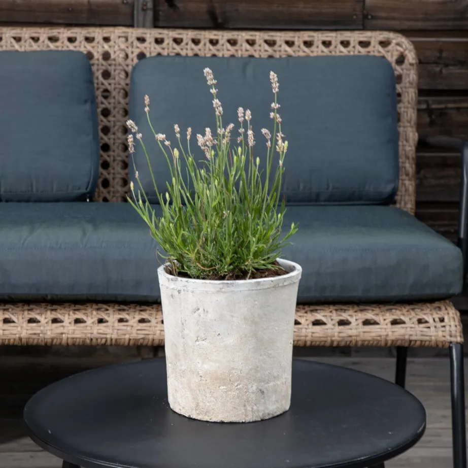 Metallist ja punutisest aiadiivani komplekt Paola, 1513-2038 – 14